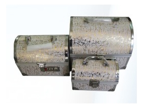 HZ-013